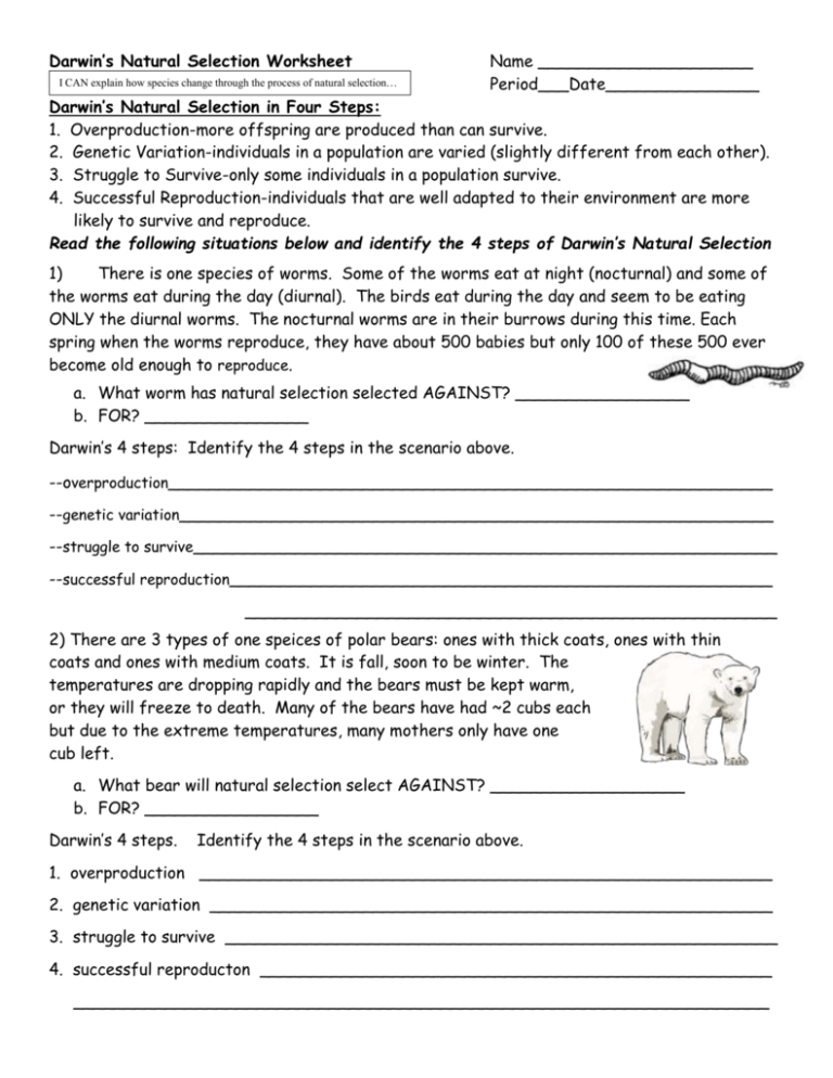 Natural Selection Worksheet For Middle School 27