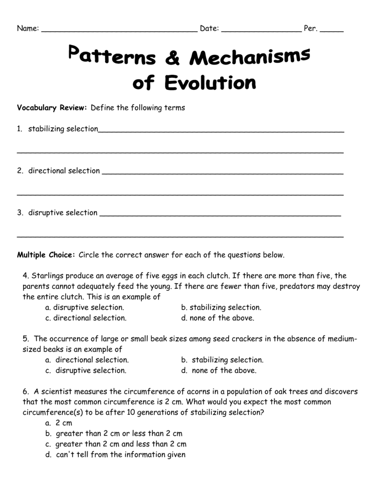 Natural Selection Worksheet For Middle School 3