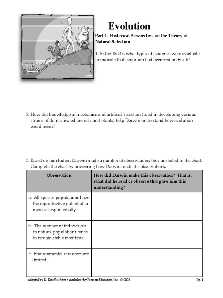 Natural Selection Worksheet For Middle School 30