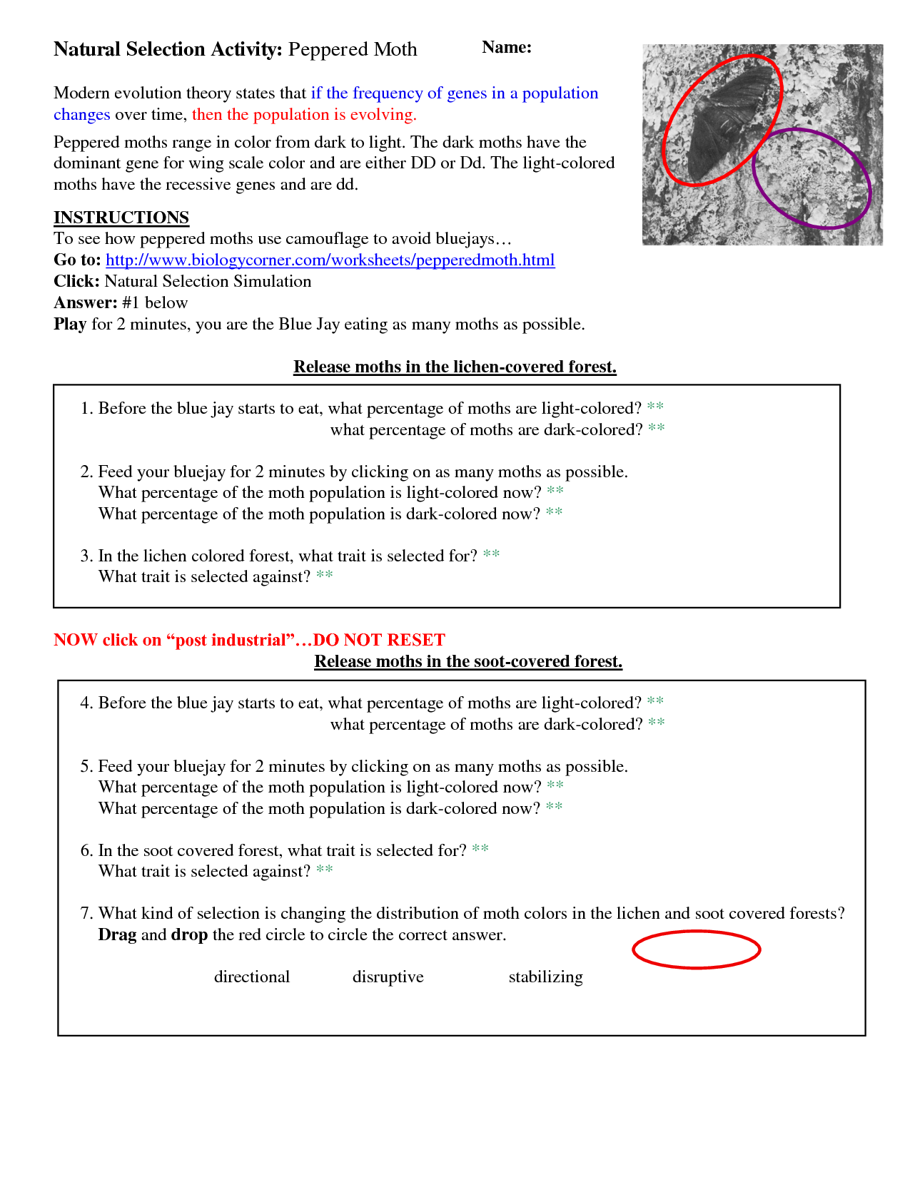 Natural Selection Worksheet For Middle School 33