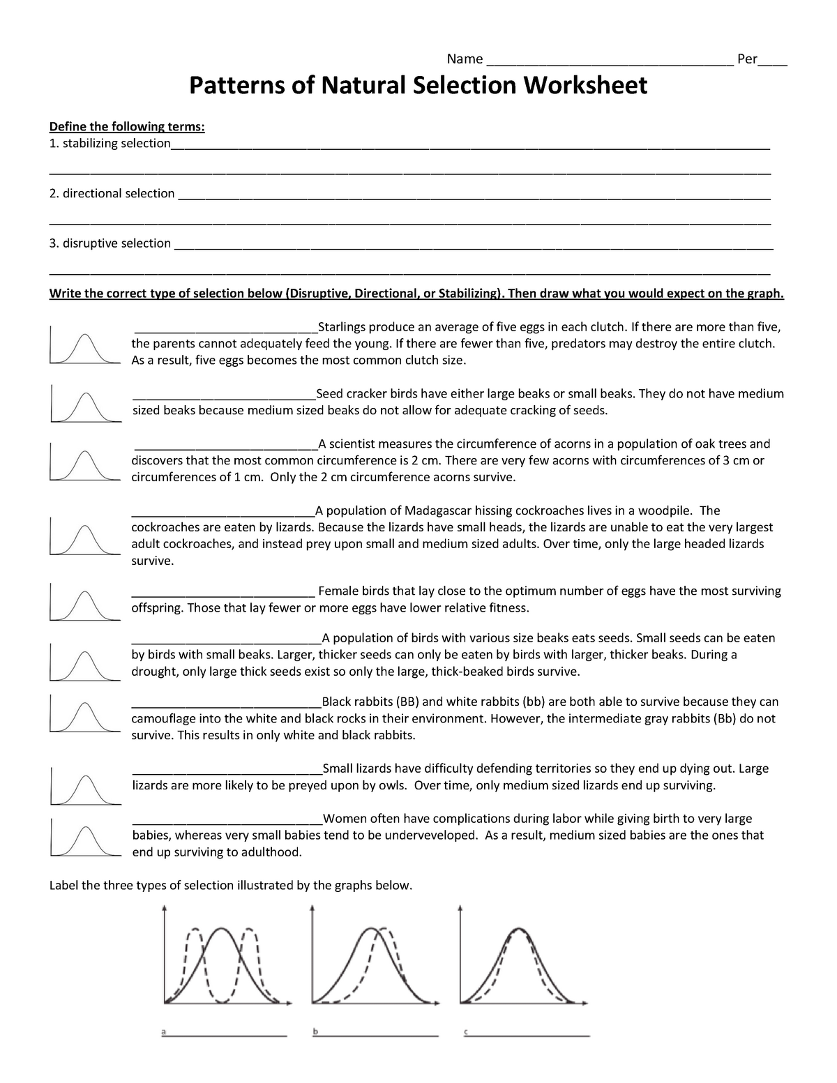 Natural Selection Worksheet For Middle School 35