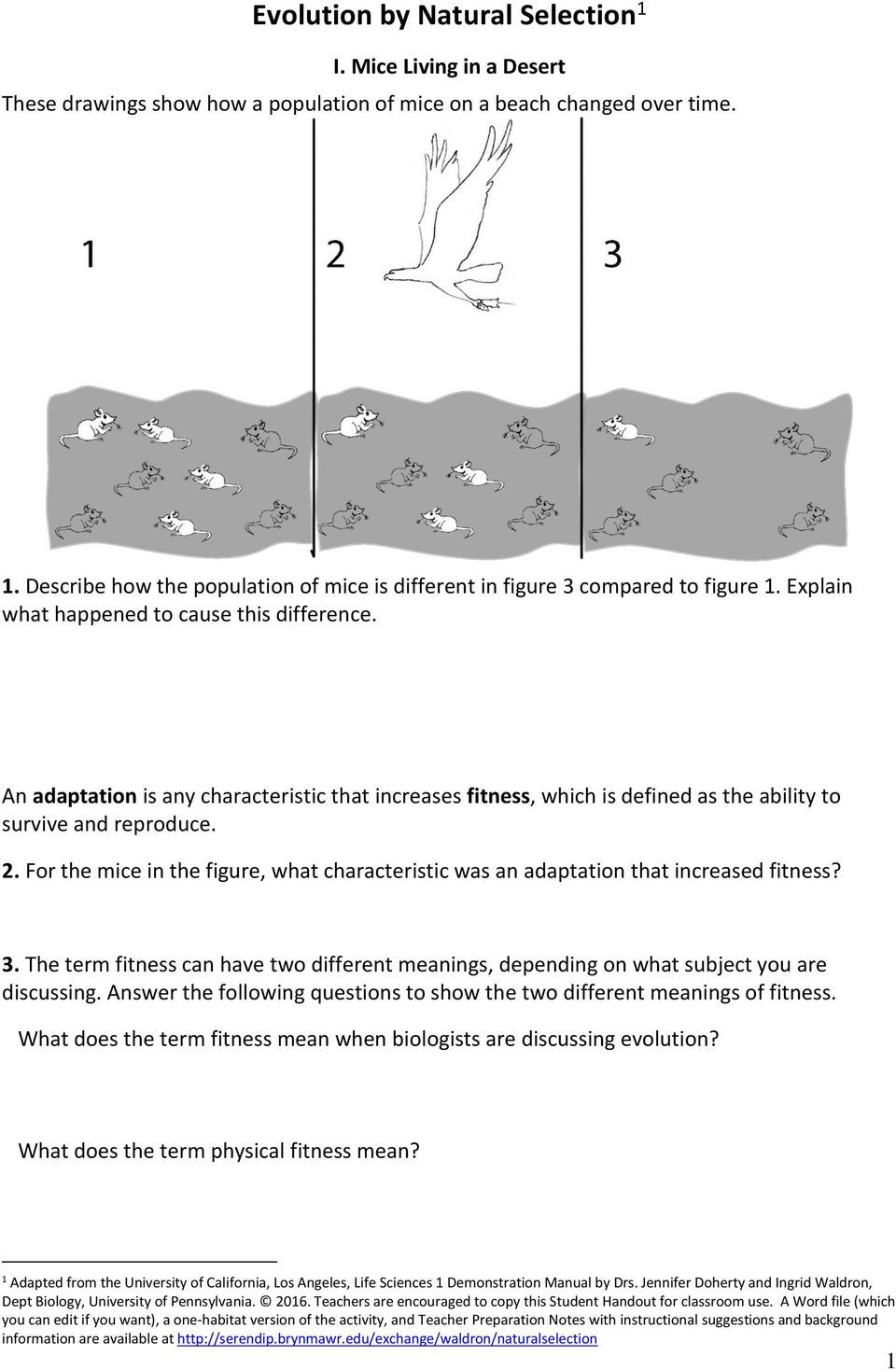 Natural Selection Worksheet For Middle School 36