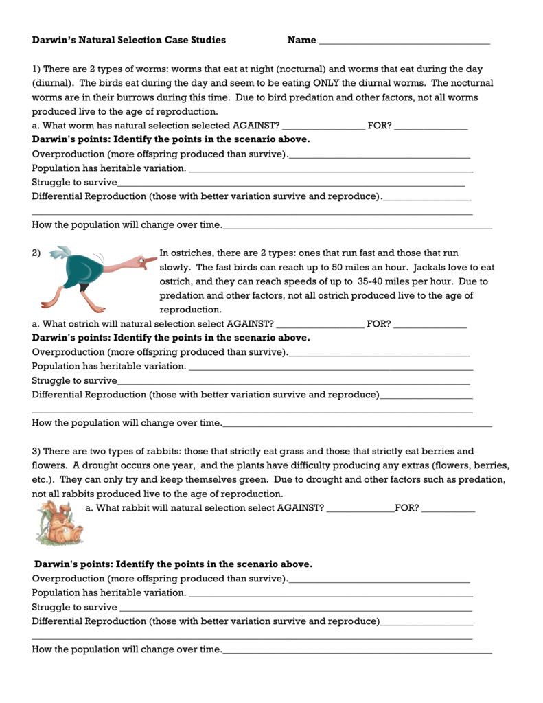 Natural Selection Worksheet For Middle School 37