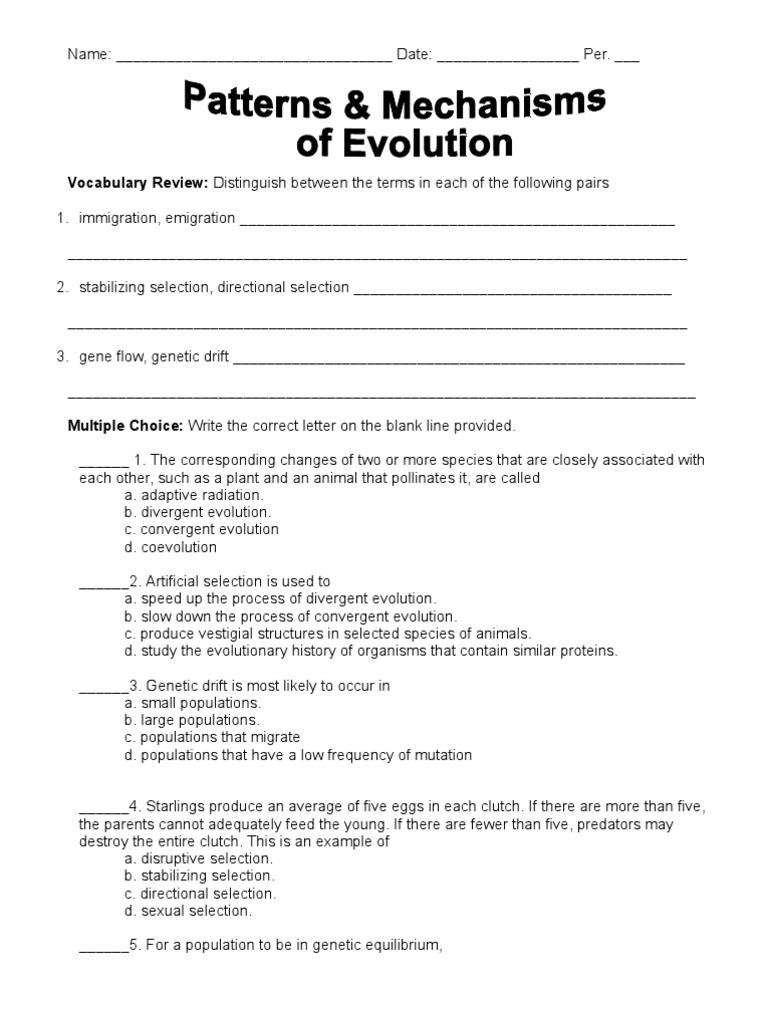 Natural Selection Worksheet For Middle School 38