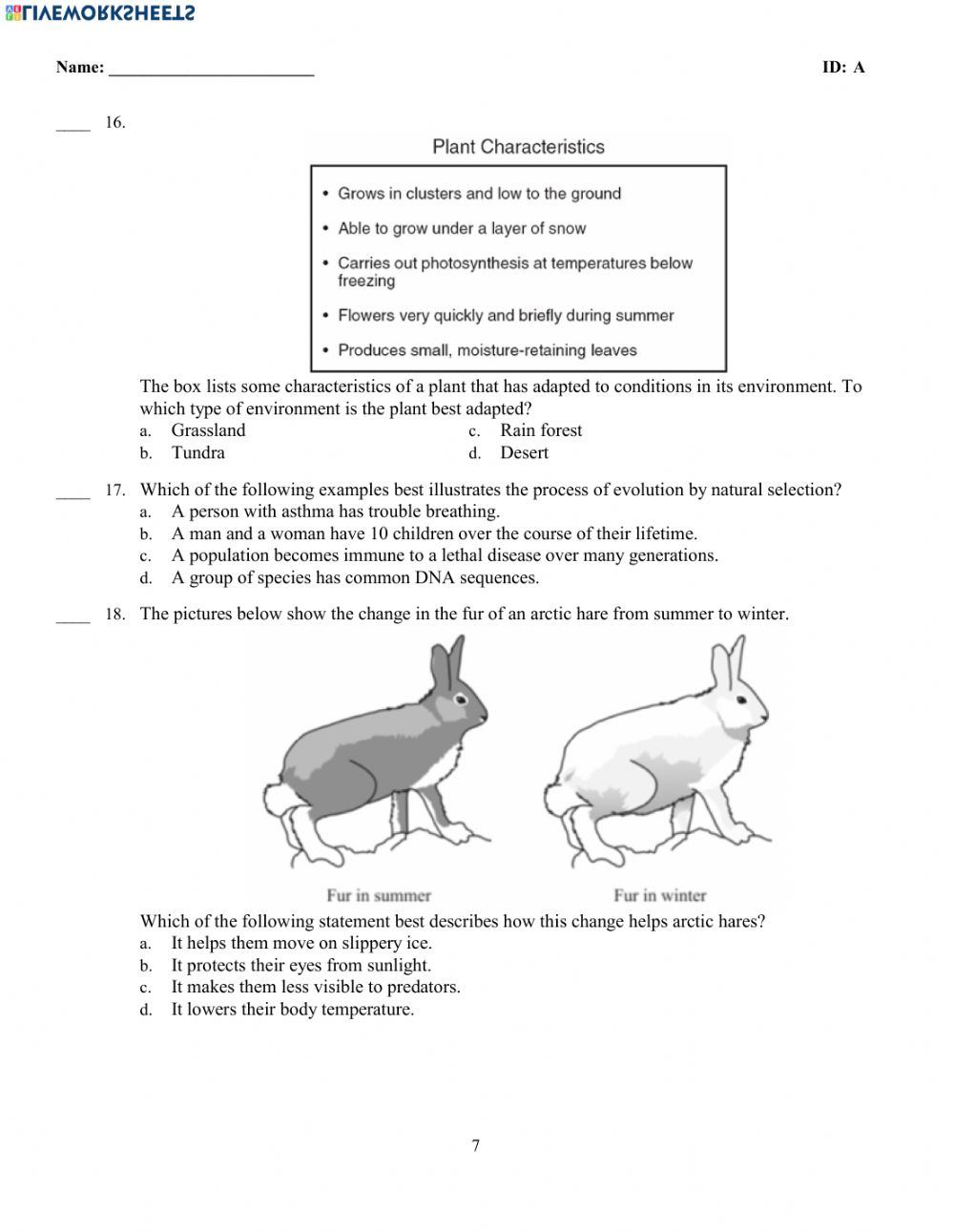 Natural Selection Worksheet For Middle School 39