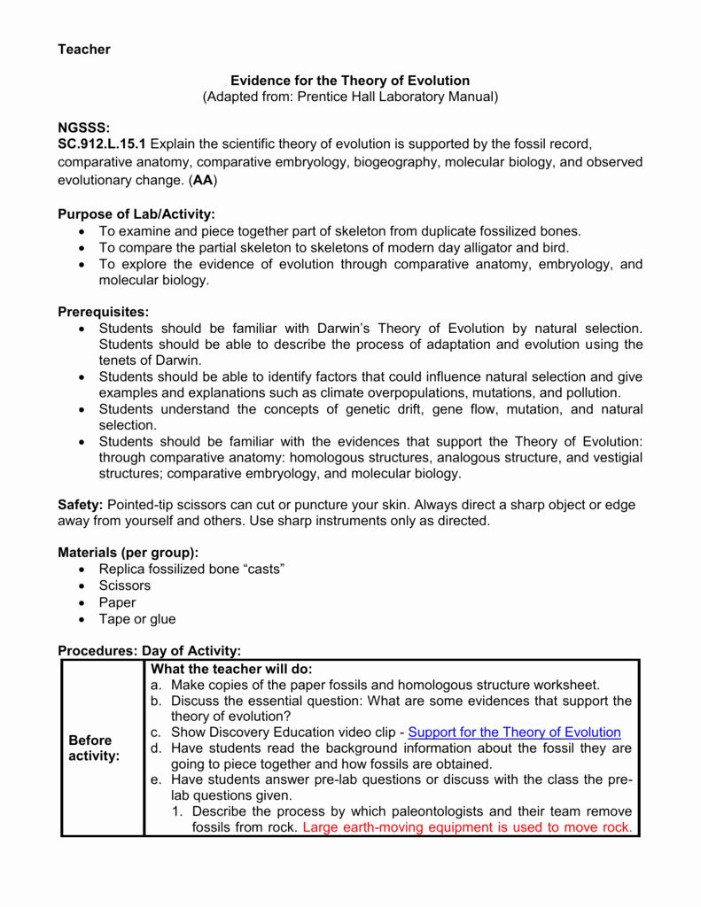 Natural Selection Worksheet For Middle School 40