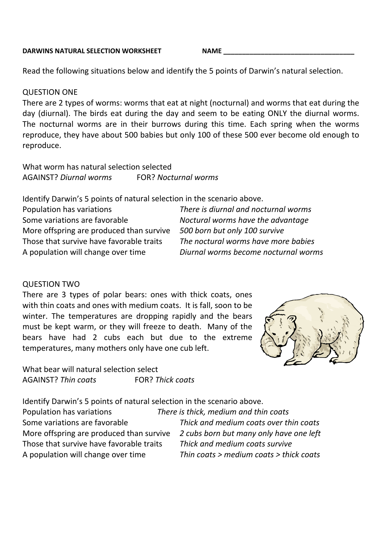 Natural Selection Worksheet For Middle School 5