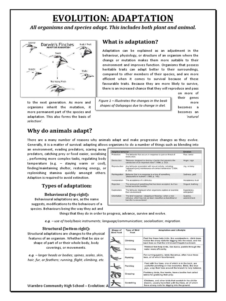 Natural Selection Worksheet For Middle School 6