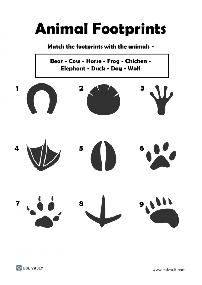 Animal Tracks Printable Worksheet