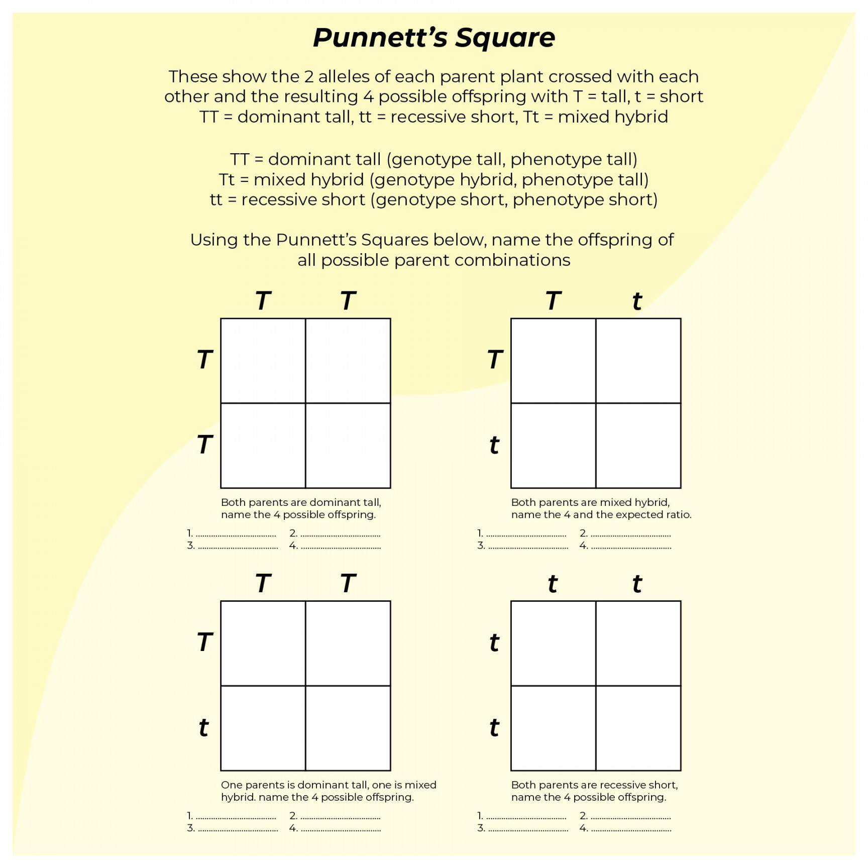 Best Printable Punnett Square Worksheets - printablee