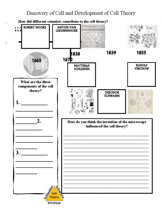 Discovery of Cell and Development of Cell Theory Worksheet  PDF