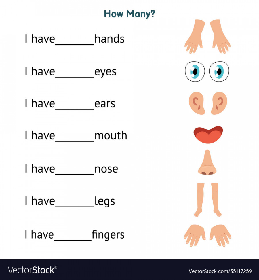 How many worksheet with body parts for kids write Vector Image