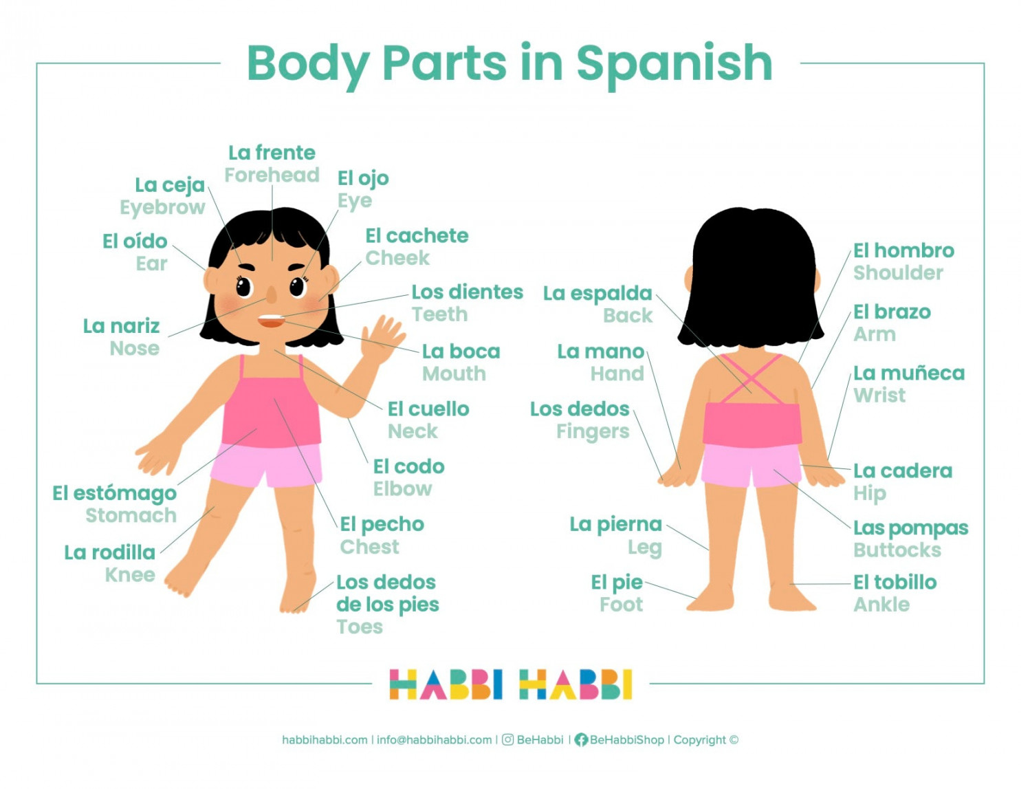 Learn + Body Parts in Spanish - Free Printable included – Habbi
