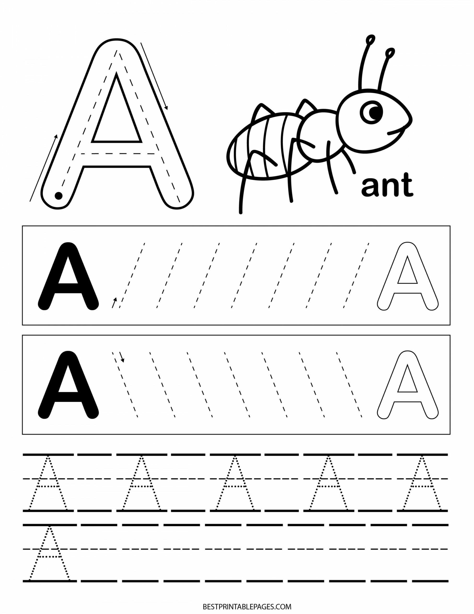 Letter A Free Preschool Worksheet to Spark Learning  Zena