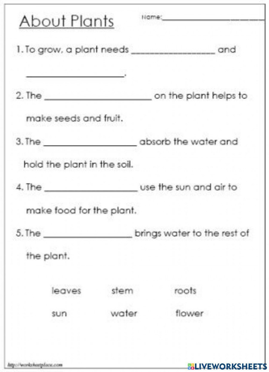 Plants online exercise for Grade   Live Worksheets