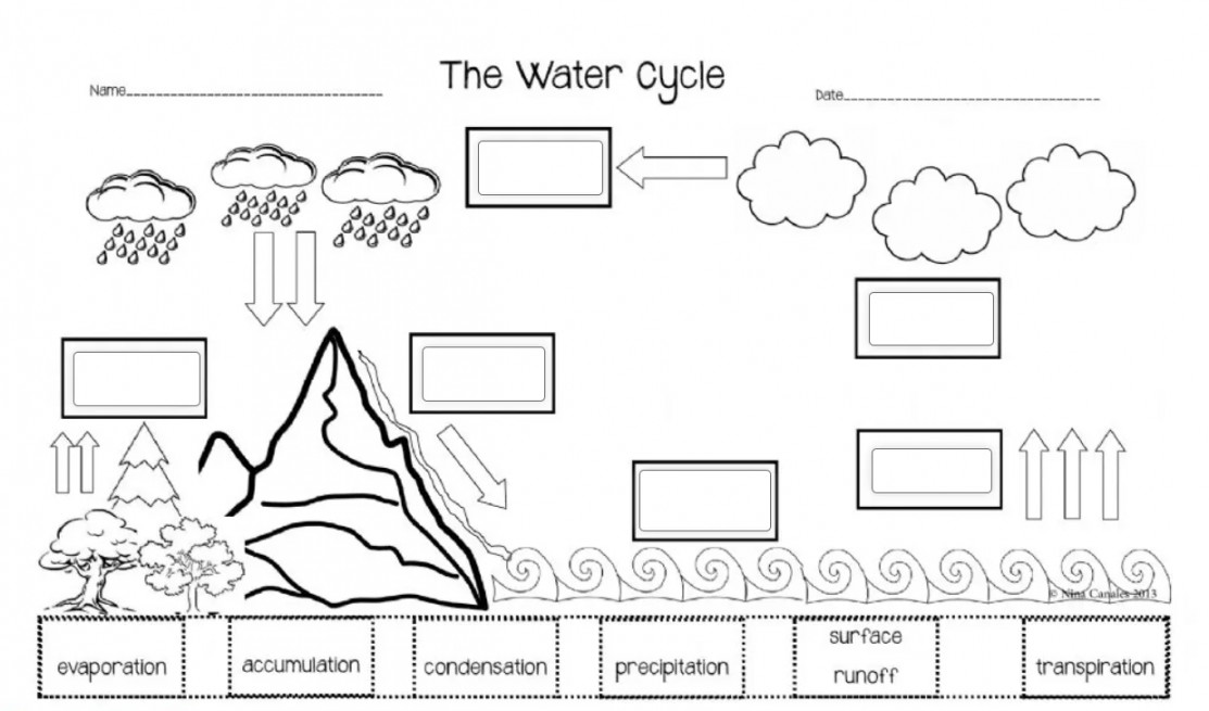Water Cycle Interactive Worksheet – Edform