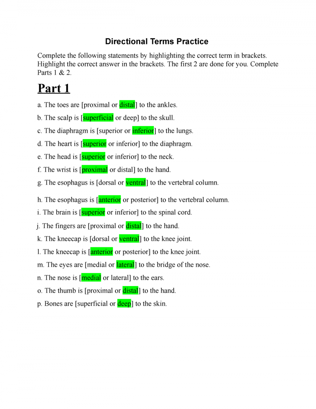 Directional Terms Practice - Directional Terms Practice Complete