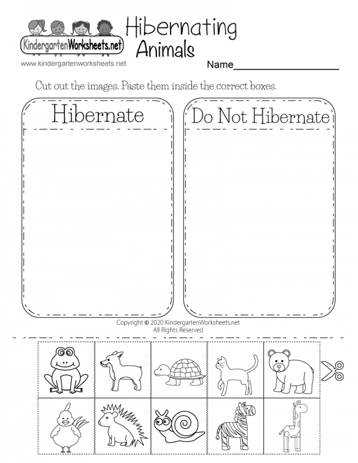 Hibernating Animals Worksheet for Kindergarten - Free Printable