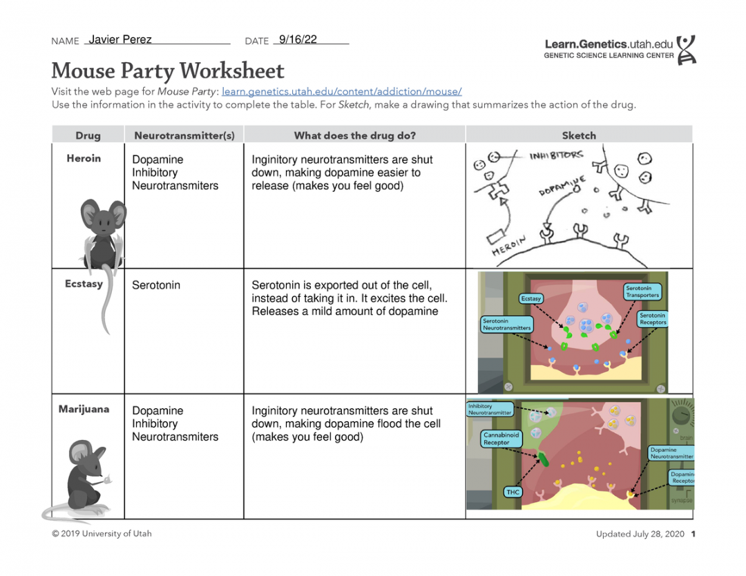 mouse party worksheet university of utah updated july