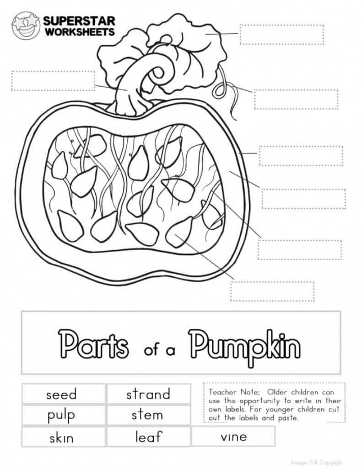 Pumpkin Worksheet - Superstar Worksheets