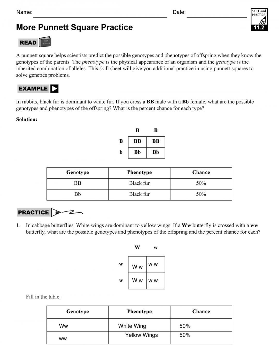 Punnet Square Practice - / School Year - Name: Date: More