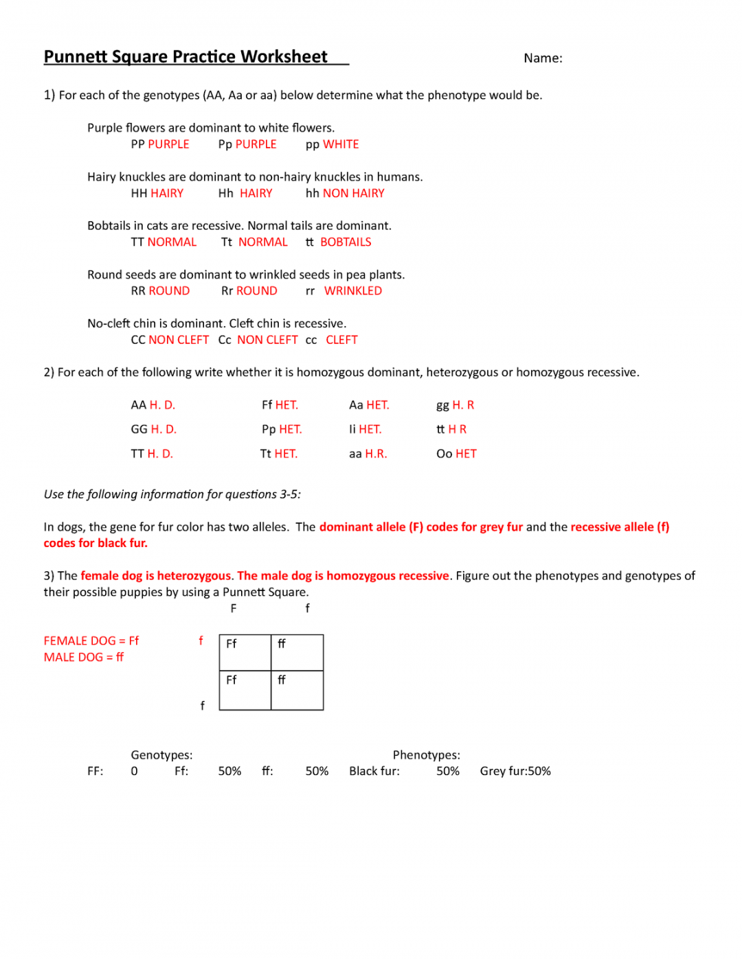 Punnett-Square-Practice-Worksheet Name-KEY-el  - Punnett