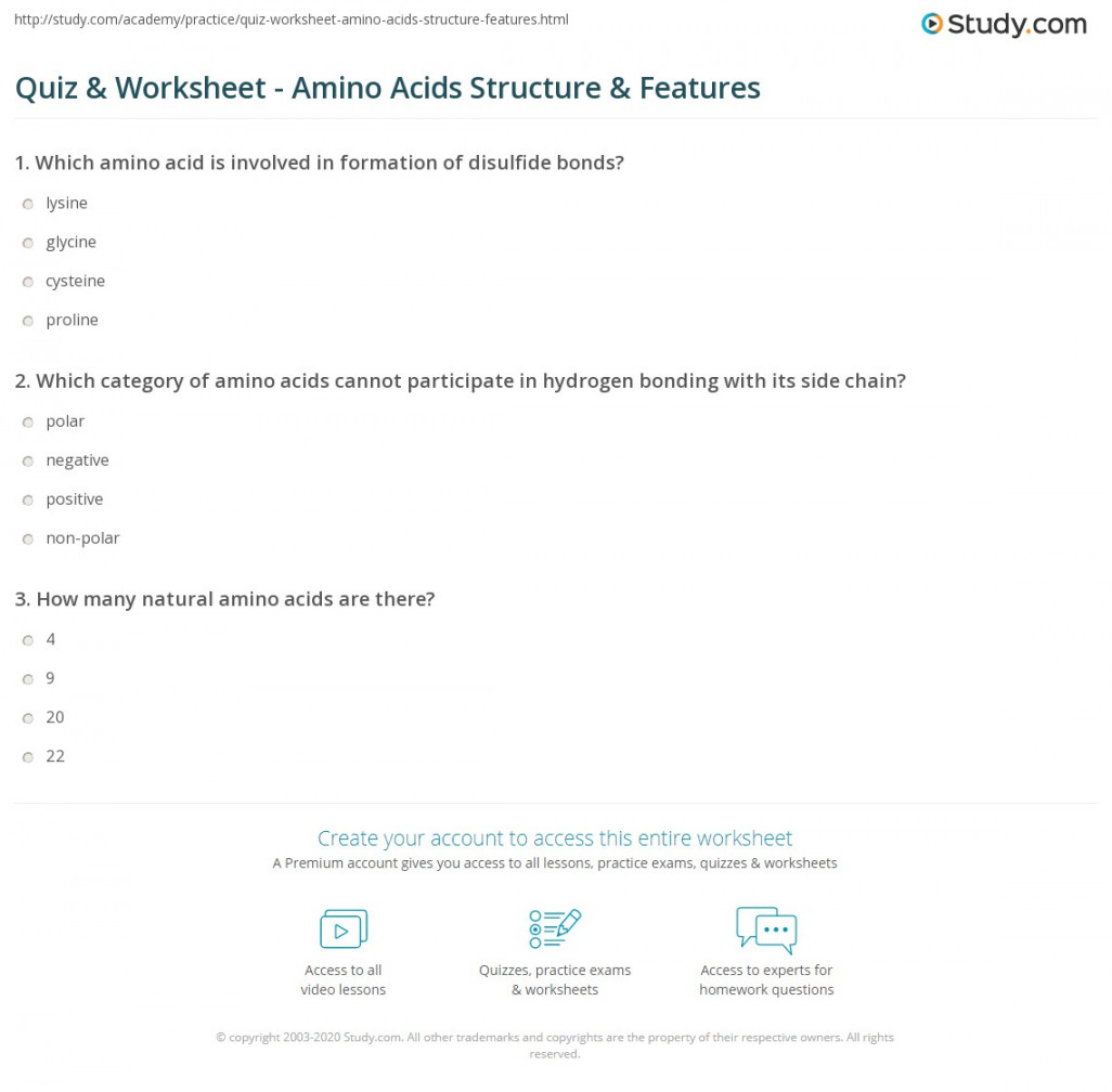 Quiz & Worksheet - Amino Acids Structure & Features  Study