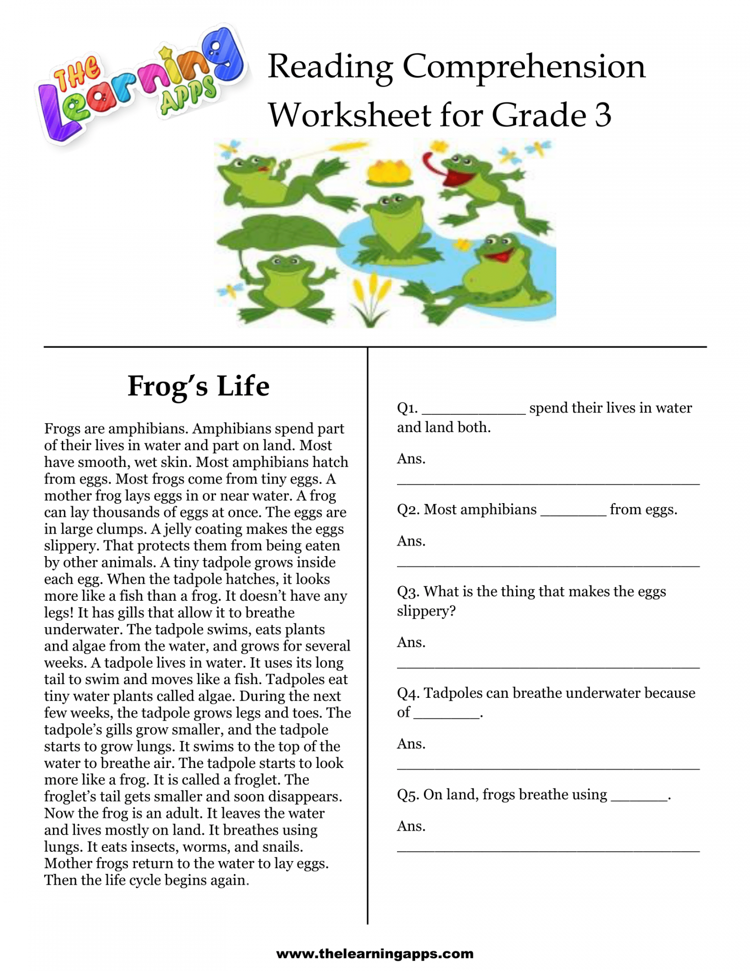 rd Grade Reading Comprehension Printable  rd grade reading