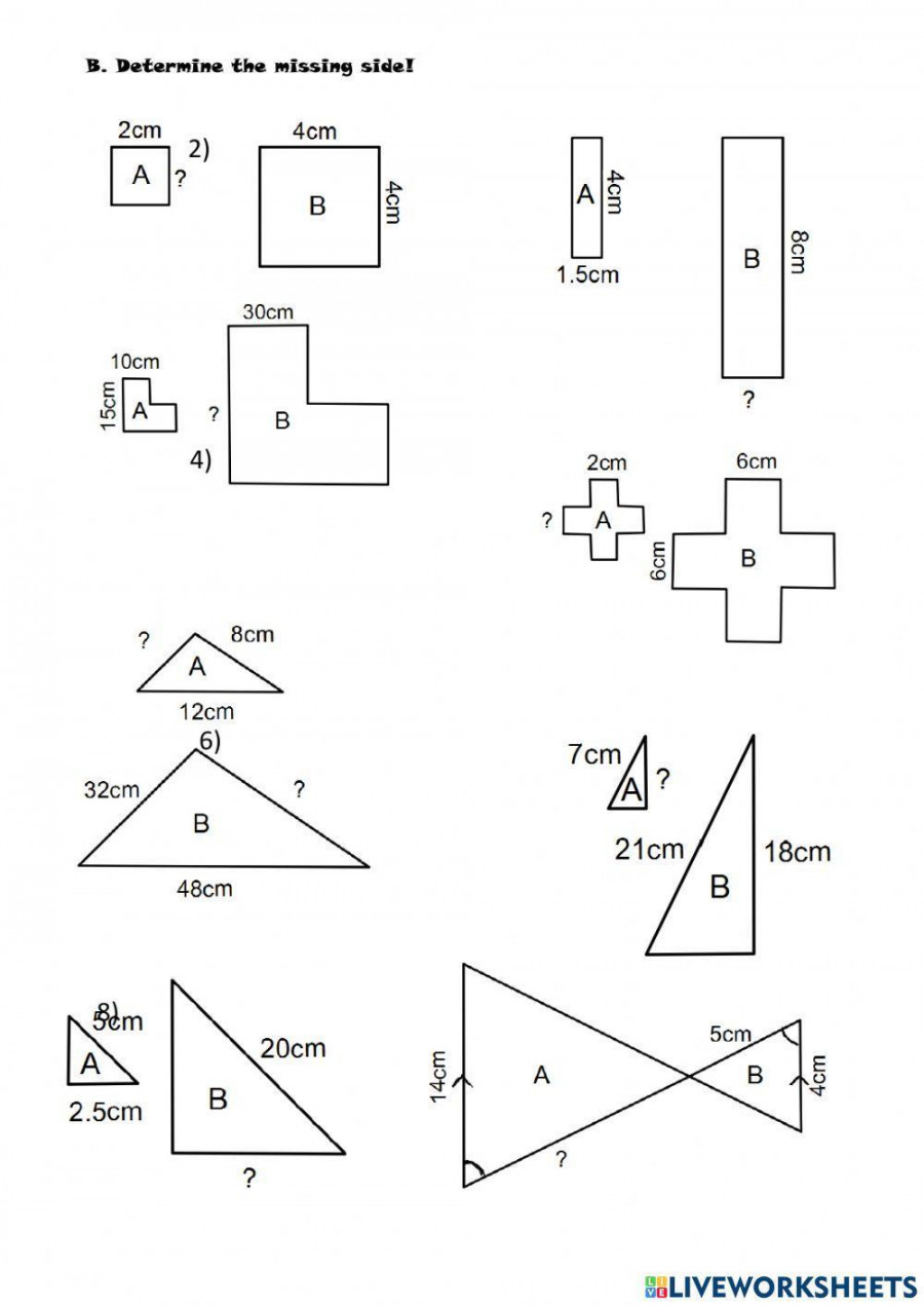 Scale Drawing worksheet  Live Worksheets