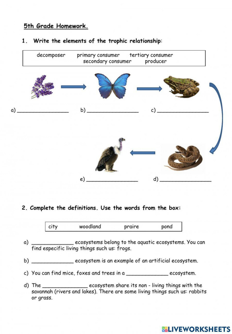 Science th Grade worksheet  Live Worksheets