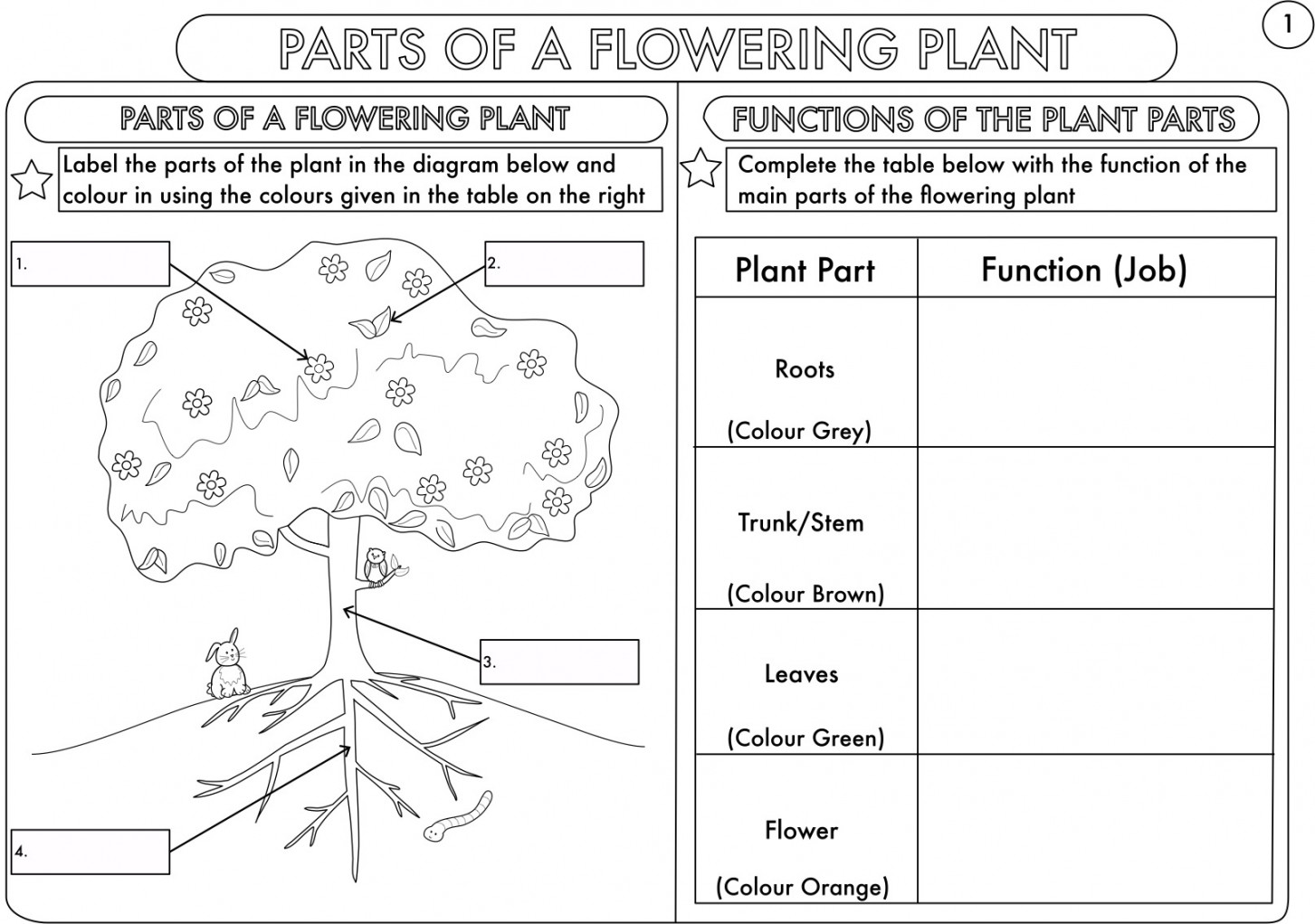 Year  and  Science Worksheets with Complimentary Posters