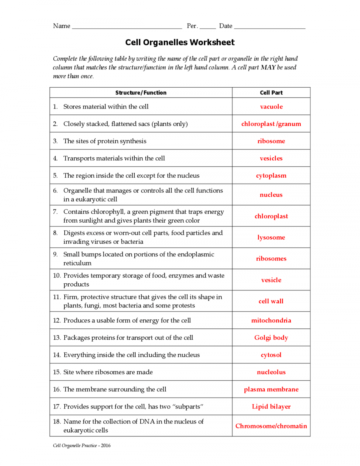 Cell Organelles Analogies Worksheet Answers  Exercises Biology
