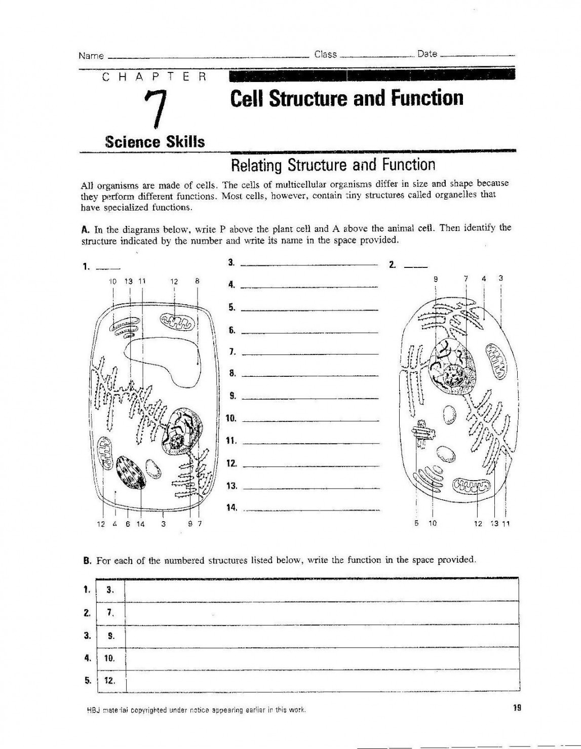 Cell Structure And Function Worksheet  Cells worksheet, Biology