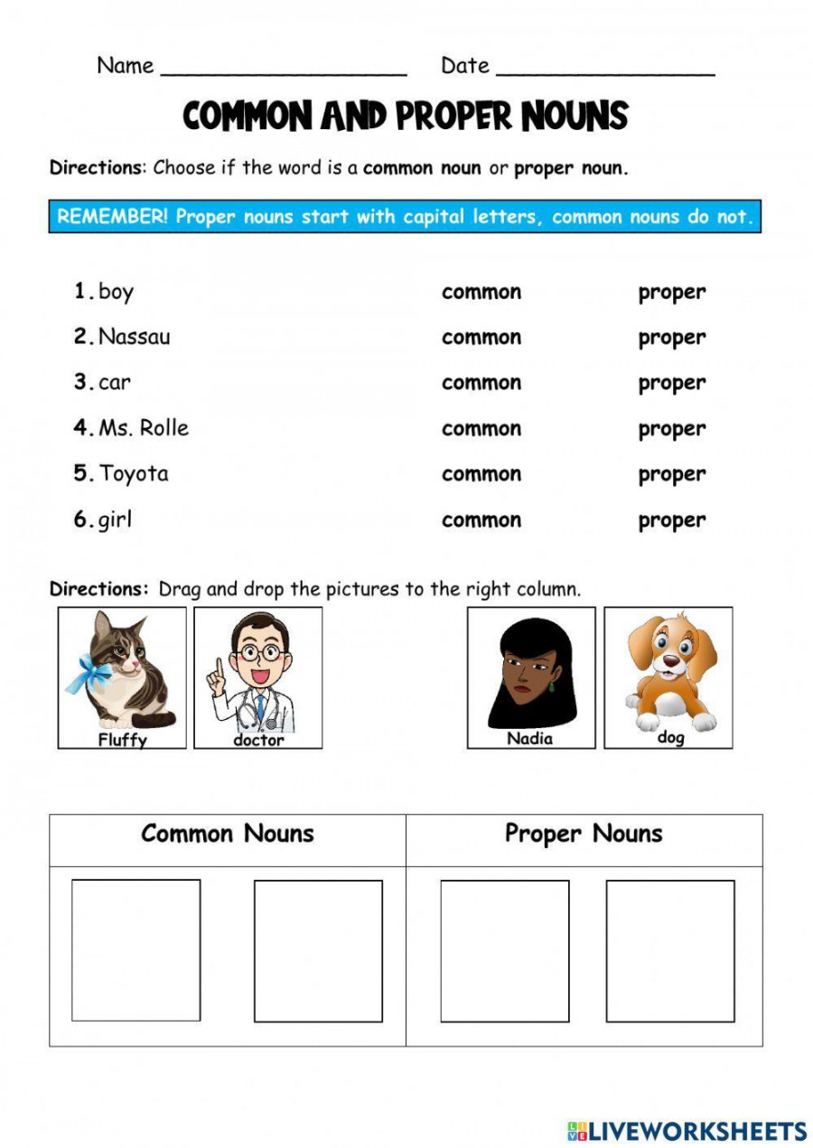 Common and Proper Nouns worksheet for   Live Worksheets