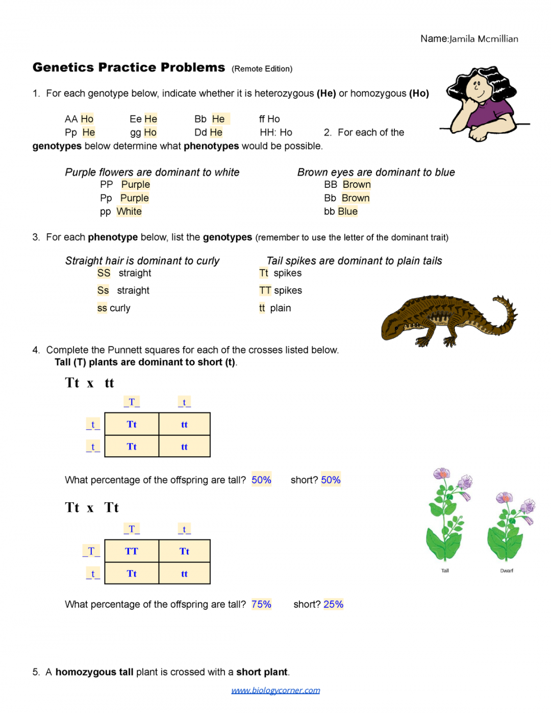 Copy of Practice - simple genetics (remote) - Name:Jamila