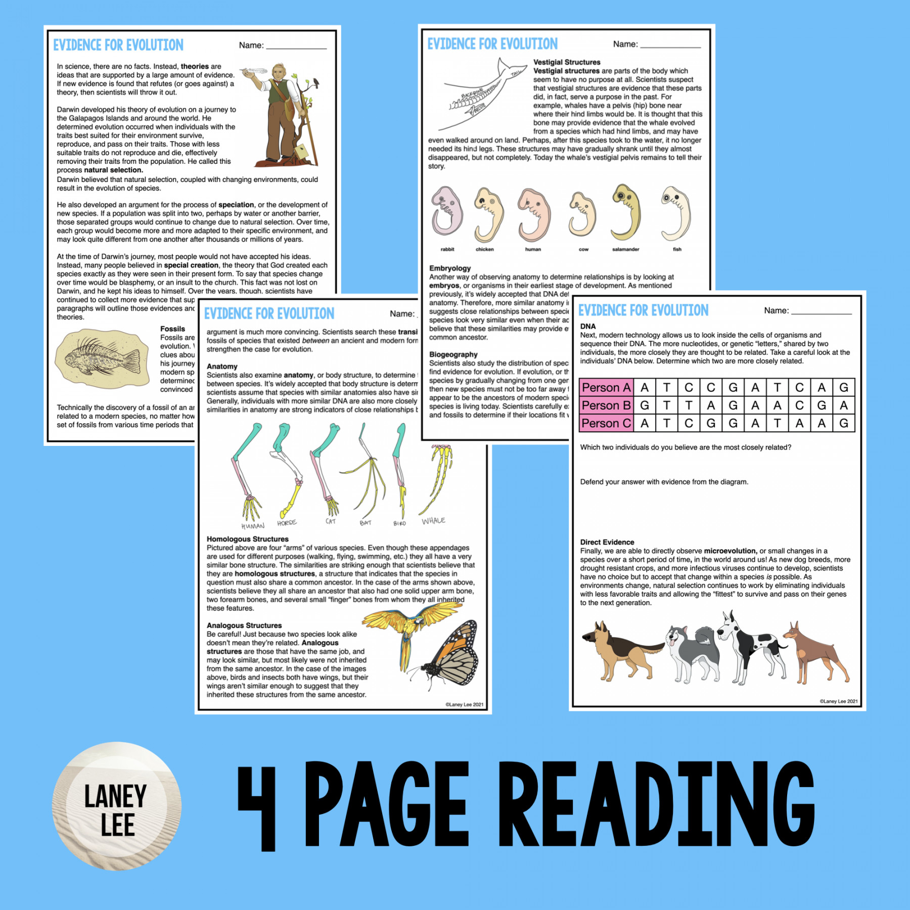 Evidence for Evolution - Reading Comprehension Worksheets