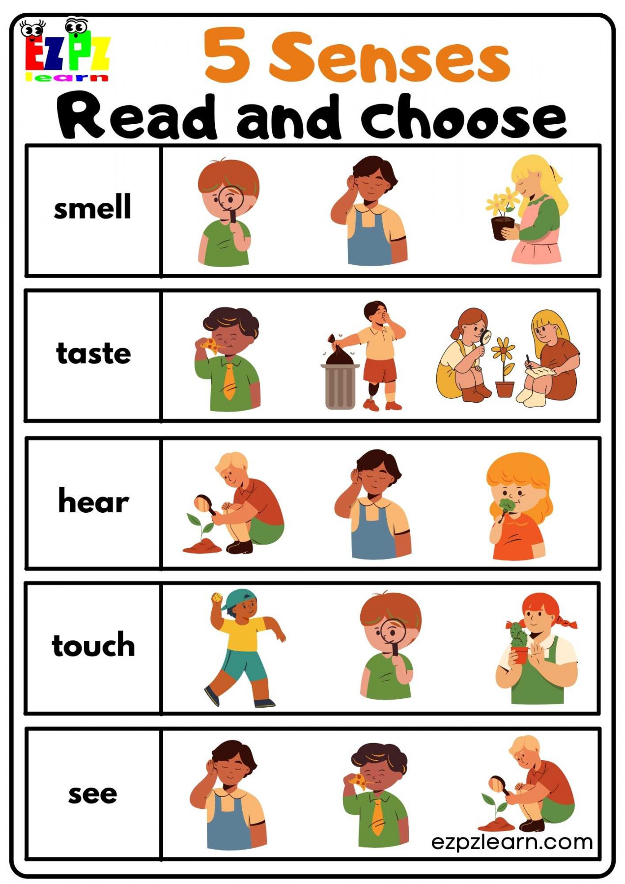 Five Senses Read and Choose Worksheet for Kindergarten and ESL
