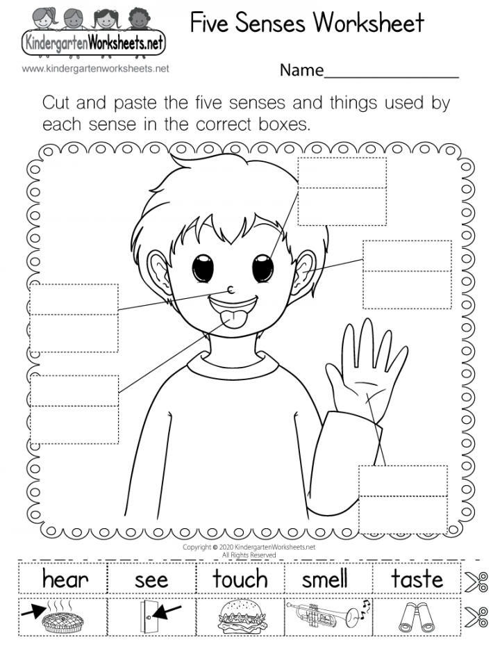 Five Senses Worksheet - Free Printable, Digital, & PDF