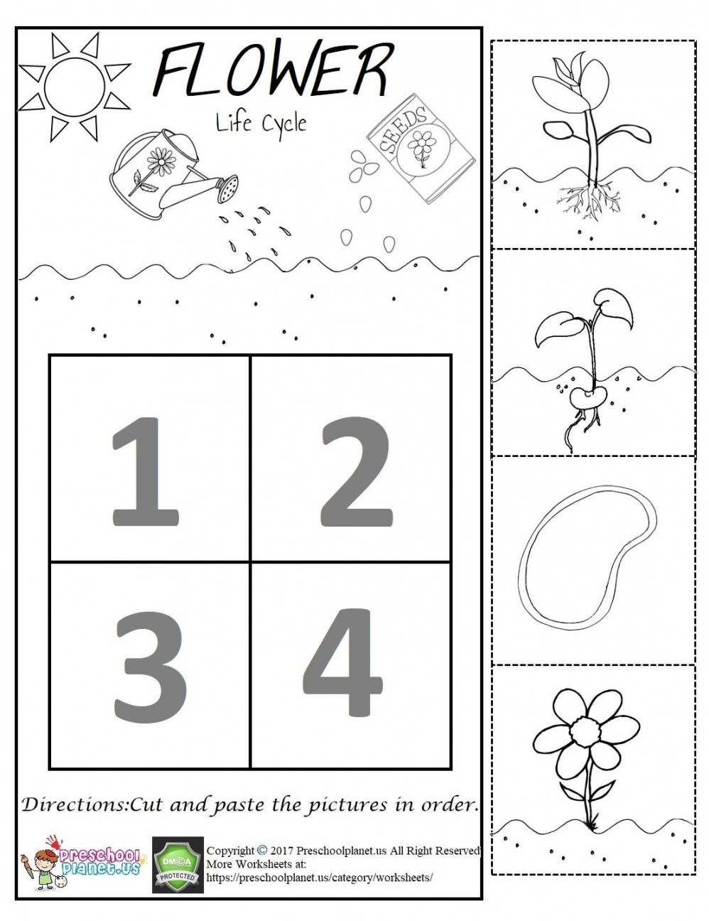 Flower Life Cycle Worksheet  Plant life cycle worksheet, Flower