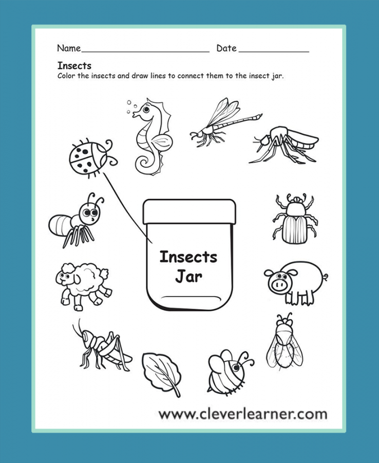 Insects preschool worksheets  Insects preschool, Preschool