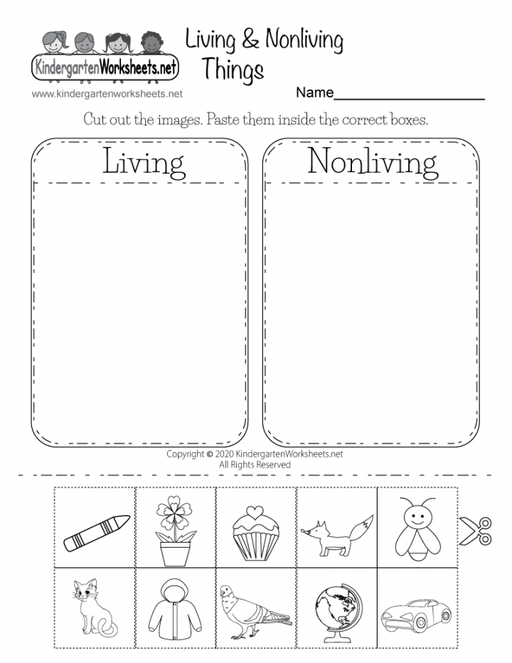 Living and Nonliving Things Worksheet - Free Printable, Digital, & PDF
