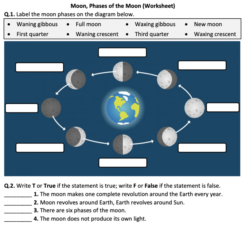 Phases Of The Moon Worksheet