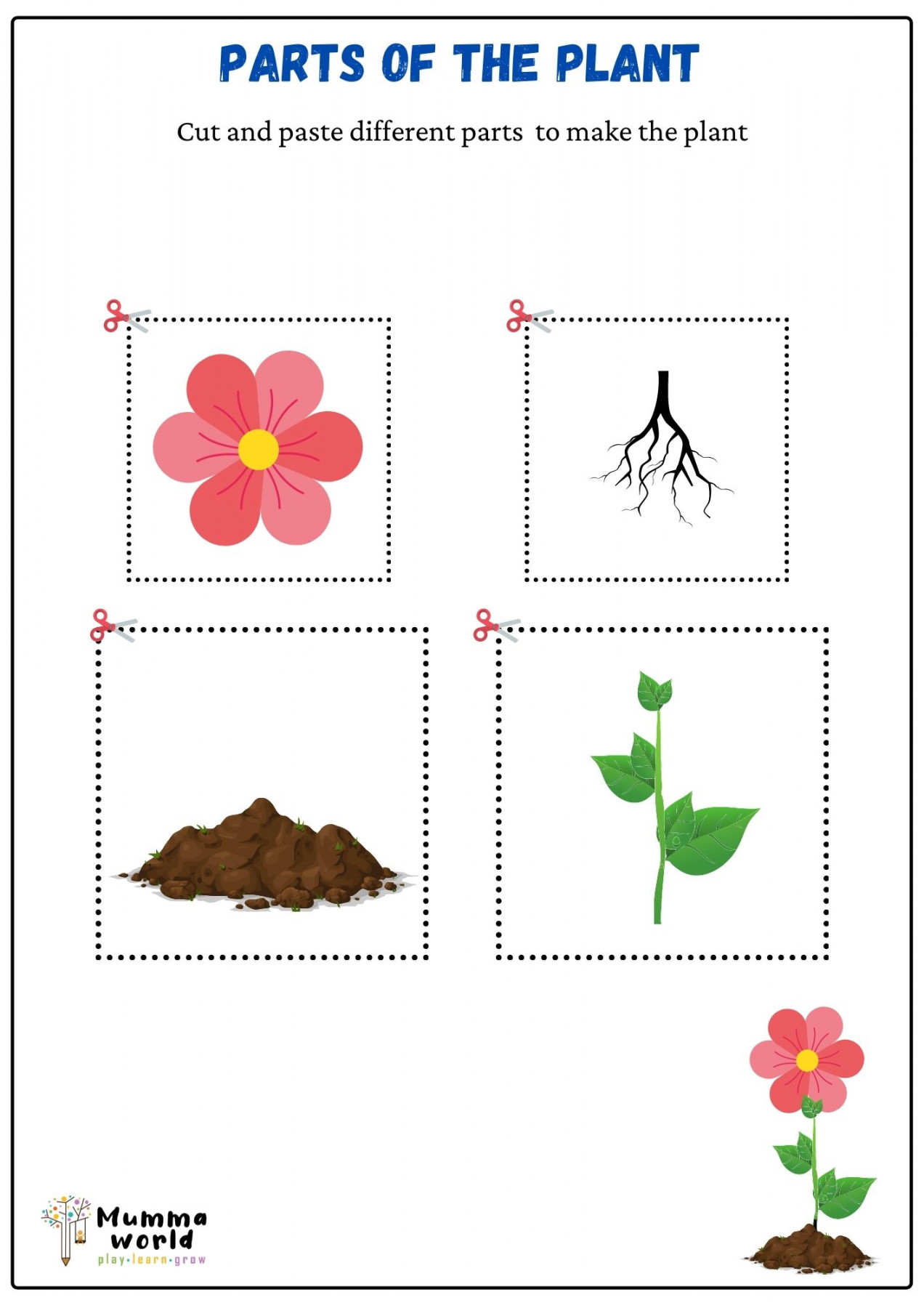 Parts Of The Plant Worksheet For The Kids  Worksheets for kids