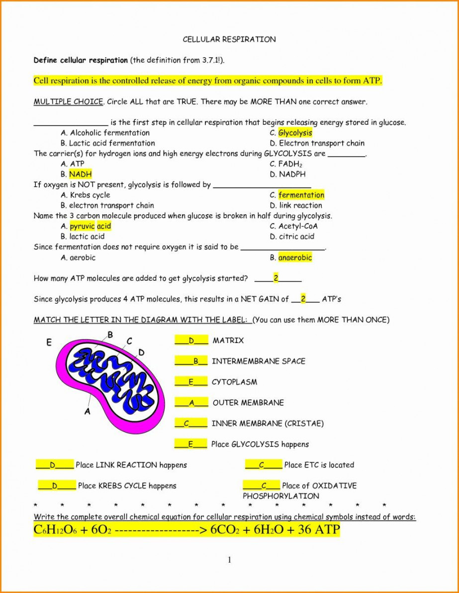 Pin on detailed nutritional science