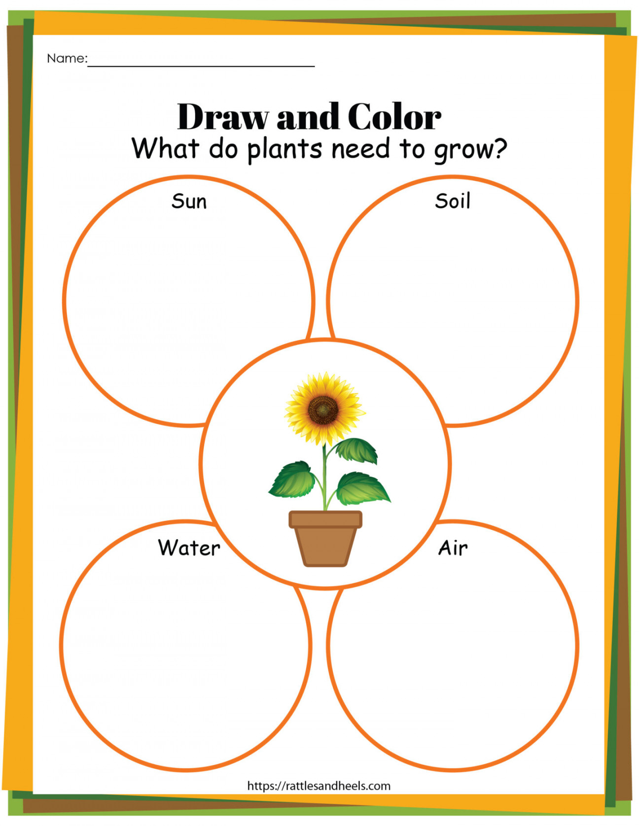 Plant Life Cycle Worksheets Free Printables for Kids - Adanna Dill