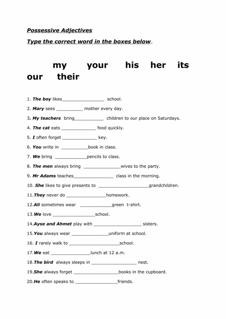 Worksheet For Possessive Pronouns