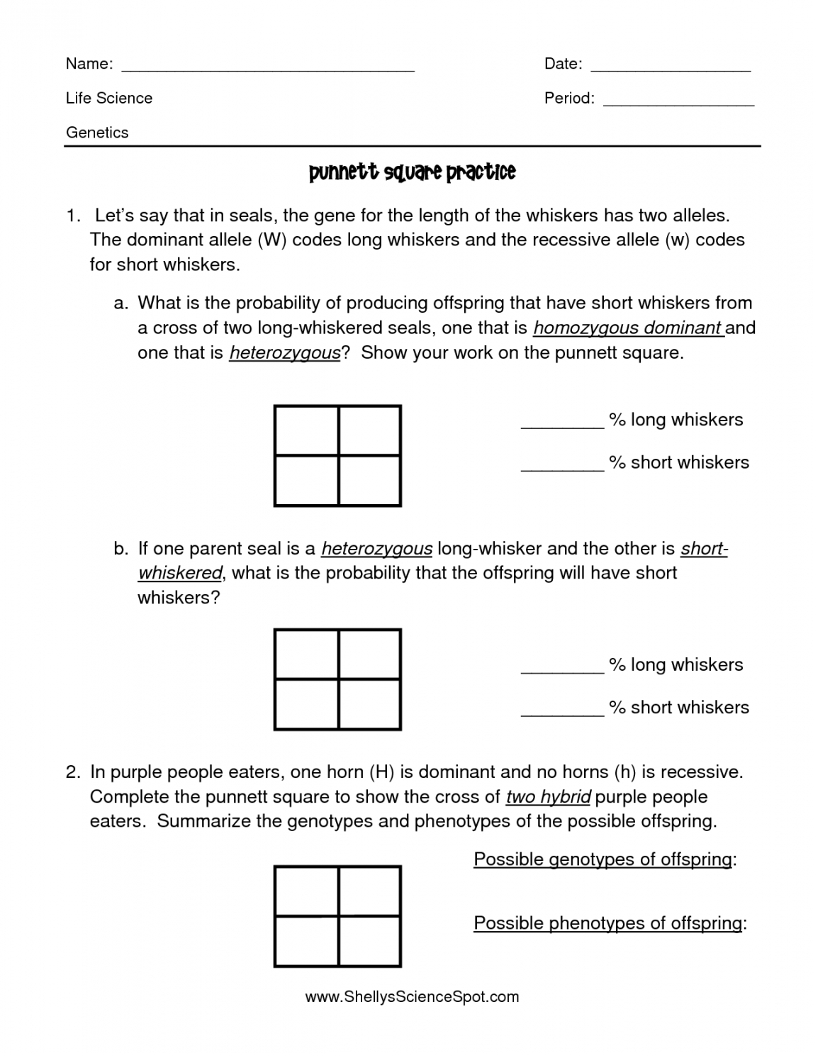 Punnett+Square+Practice+Worksheet+Answers  Practices worksheets