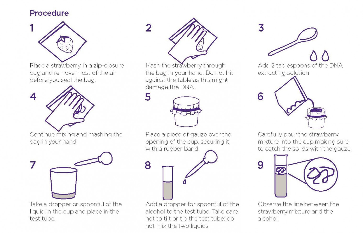 Strawberry DNA extraction activity - Institute for Molecular