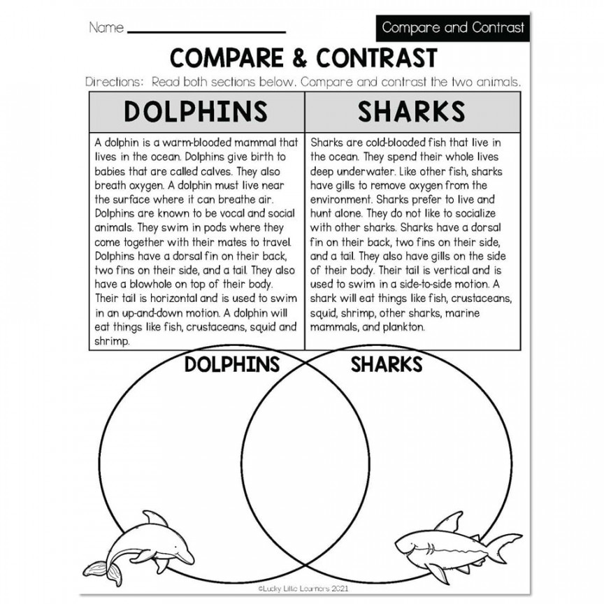Summer - Early Finishers nd Grade - ELA - Compare & Contrast - Compare &  Contrast