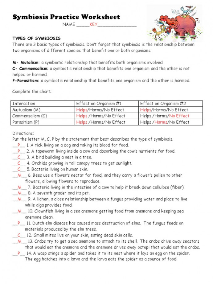 Symbiosis Practice Worksheet  KEY  PDF